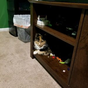 Meet your Posher, Karina